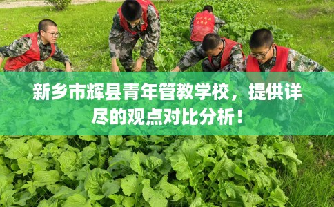 新乡市辉县青年管教学校,提供详尽的观点对比分析! 新乡市辉县青年管教学校,提供详尽的观点对比分析!