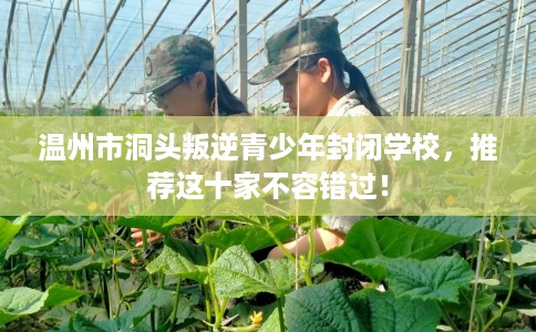 温州市洞头叛逆青少年封闭学校，推荐这十家不容错过！
