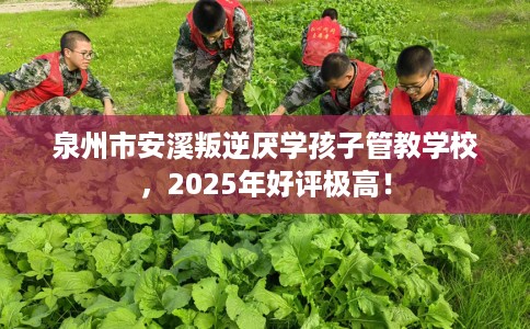 泉州市安溪叛逆厌学孩子管教学校,2025年好评极高! 泉州市安溪叛逆厌学孩子管教学校,2025年好评极高!