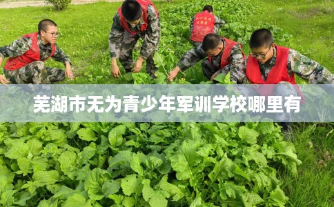 芜湖市无为青少年军训学校哪里有 芜湖市无为青少年军训学校哪里有