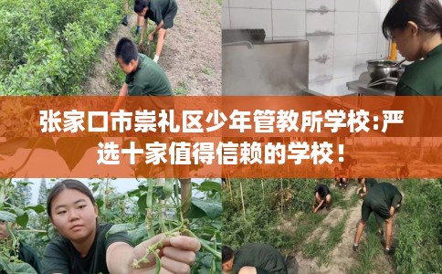 张家口市崇礼区少年管教所学校:严选十家值得信赖的学校！