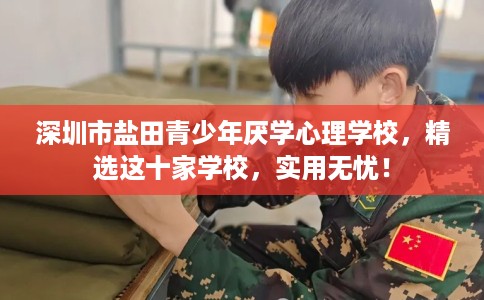 深圳市盐田青少年厌学心理学校,精选这十家学校,实用无忧! 深圳市盐田青少年厌学心理学校,精选这十家学校,实用无忧!