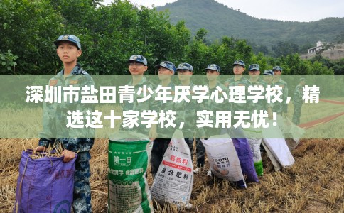 深圳市盐田青少年厌学心理学校,精选这十家学校,实用无忧! 深圳市盐田青少年厌学心理学校,精选这十家学校,实用无忧!