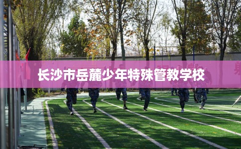 长沙市岳麓少年特殊管教学校 长沙市岳麓少年特殊管教学校