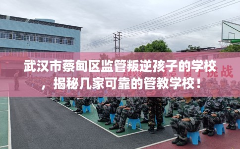 武汉市蔡甸区监管叛逆孩子的学校,揭秘几家可靠的管教学校! 武汉市蔡甸区监管叛逆孩子的学校,揭秘几家可靠的管教学校!