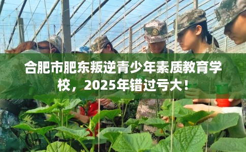 合肥市肥东叛逆青少年素质教育学校,2025年错过亏大! 合肥市肥东叛逆青少年素质教育学校,2025年错过亏大!