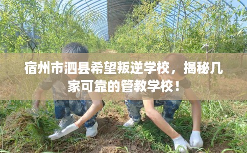 宿州市泗县希望叛逆学校，揭秘几家可靠的管教学校！