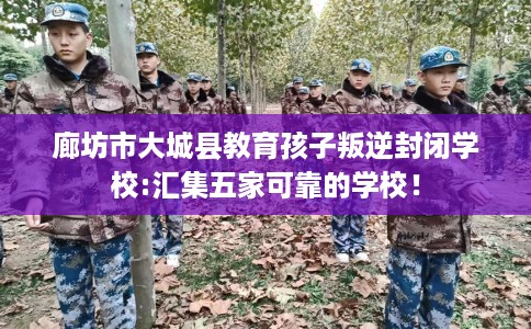 廊坊市大城县教育孩子叛逆封闭学校:汇集五家可靠的学校！