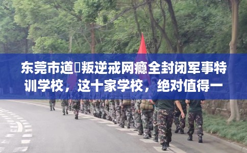 东莞市道滘叛逆戒网瘾全封闭军事特训学校，这十家学校，绝对值得一试！