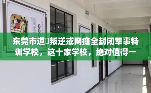 东莞市道滘叛逆戒网瘾全封闭军事特训学校，这十家学校，绝对值得一试！