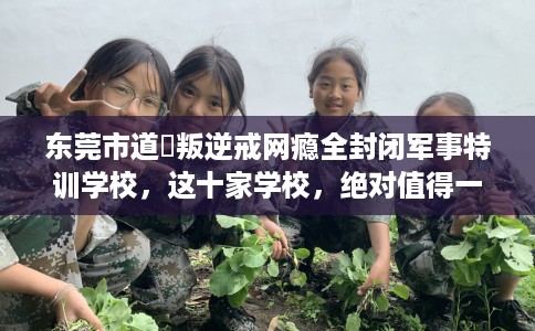 东莞市道滘叛逆戒网瘾全封闭军事特训学校，这十家学校，绝对值得一试！