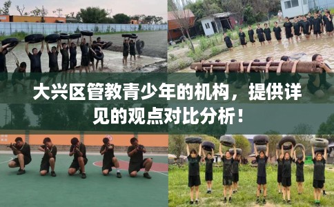 大兴区管教青少年的机构，提供详见的观点对比分析！