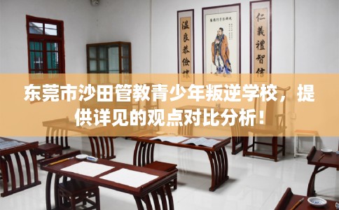 东莞市沙田管教青少年叛逆学校，提供详见的观点对比分析！