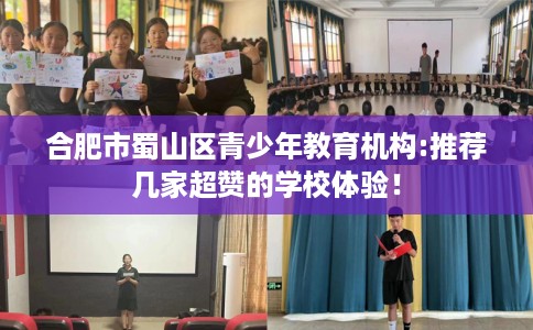 合肥市蜀山区青少年教育机构:推荐几家超赞的学校体验！