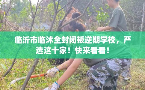 临沂市临沭全封闭叛逆期学校，严选这十家！快来看看！