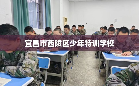 宜昌市西陵区少年特训学校 宜昌市西陵区少年特训学校