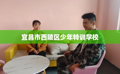 宜昌市西陵区少年特训学校