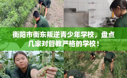 衡阳市衡东叛逆青少年学校,盘点几家对管教严格的学校! 衡阳市衡东叛逆青少年学校,盘点几家对管教严格的学校!