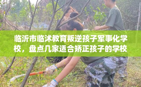 临沂市临沭教育叛逆孩子军事化学校,盘点几家适合矫正孩子的学校! 临沂市临沭教育叛逆孩子军事化学校,盘点几家适合矫正孩子的学校!