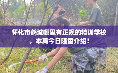 怀化市鹤城哪里有正规的特训学校，本篇今日隆重介绍！