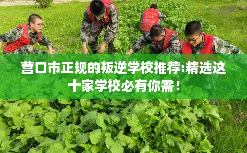 营口市正规的叛逆学校推荐:精选这十家学校必有你需！