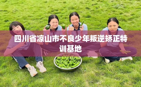 四川省凉山市不良少年叛逆矫正特训基地