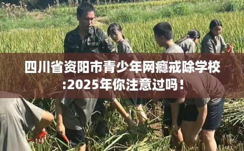 四川省资阳市青少年网瘾戒除学校:2025年你注意过吗! 四川省资阳市青少年网瘾戒除学校:2025年你注意过吗!