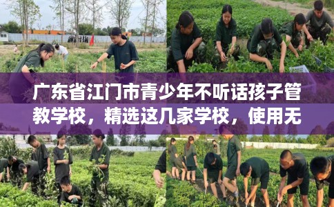 广东省江门市青少年不听话孩子管教学校，精选这几家学校，使用无忧！