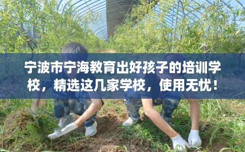 宁波市宁海教育出好孩子的培训学校，精选这几家学校，使用无忧！
