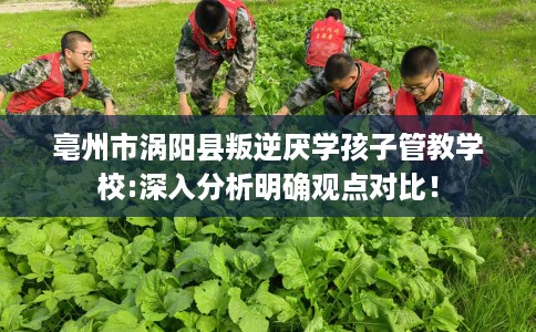 亳州市涡阳县叛逆厌学孩子管教学校:深入分析明确观点对比！