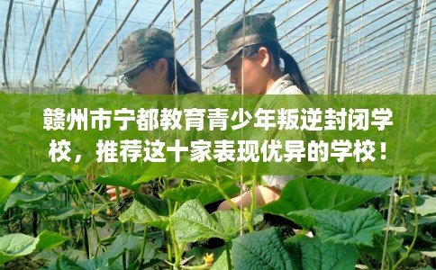 赣州市宁都教育青少年叛逆封闭学校,推荐这十家表现优异的学校! 赣州市宁都教育青少年叛逆封闭学校,推荐这十家表现优异的学校!