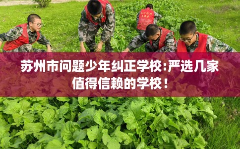 苏州市问题少年纠正学校:严选几家值得信赖的学校！