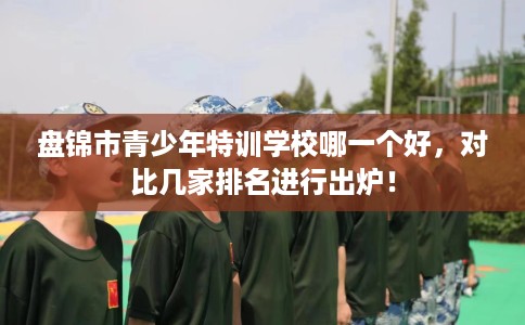盘锦市青少年特训学校哪一个好，对比几家排名进行出炉！