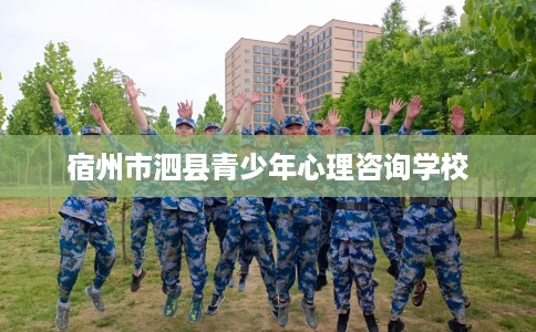 宿州市泗县青少年心理咨询学校