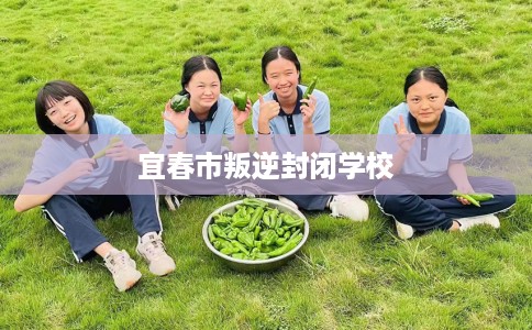 宜春市叛逆封闭学校 宜春市叛逆封闭学校