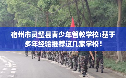 宿州市灵璧县青少年管教学校:基于多年经验推荐这几家学校！