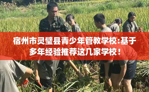 宿州市灵璧县青少年管教学校:基于多年经验推荐这几家学校！