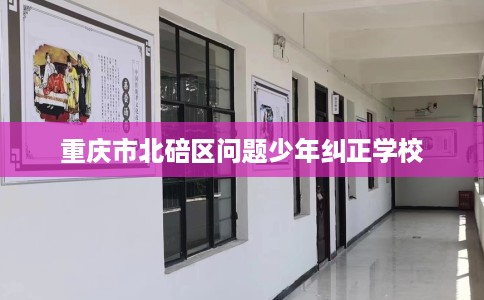 重庆市北碚区问题少年纠正学校 重庆市北碚区问题少年纠正学校