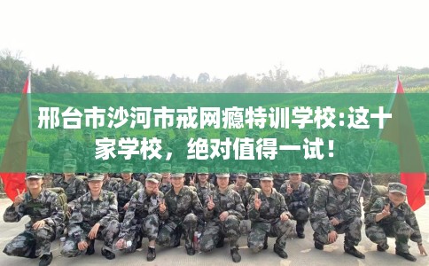 邢台市沙河市戒网瘾特训学校:这十家学校，绝对值得一试！