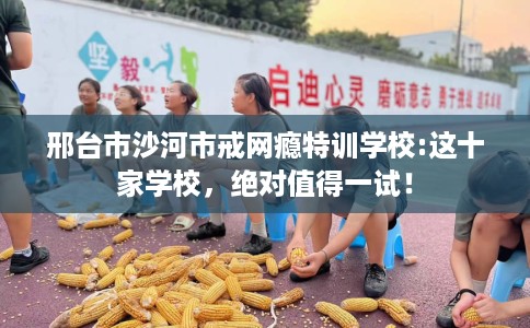 邢台市沙河市戒网瘾特训学校:这十家学校，绝对值得一试！