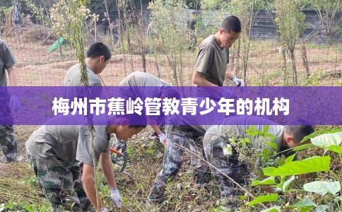 梅州市蕉岭管教青少年的机构 梅州市蕉岭管教青少年的机构