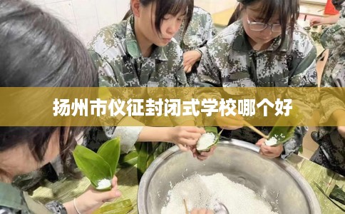 扬州市仪征封闭式学校哪个好