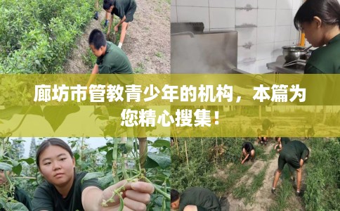 廊坊市管教青少年的机构,本篇为您精心搜集! 廊坊市管教青少年的机构,本篇为您精心搜集!