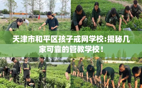 天津市和平区孩子戒网学校:揭秘几家可靠的管教学校! 天津市和平区孩子戒网学校:揭秘几家可靠的管教学校!