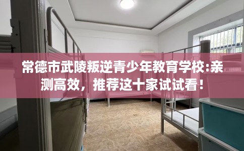 常德市武陵叛逆青少年教育学校:亲测高效，推荐这十家试试看！