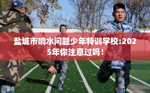 盐城市响水问题少年特训学校:2025年你注意过吗！