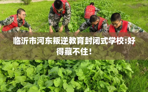 临沂市河东叛逆教育封闭式学校:好得藏不住！