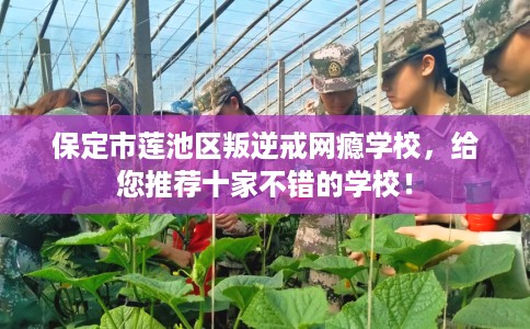 保定市莲池区叛逆戒网瘾学校，给您推荐十家不错的学校！
