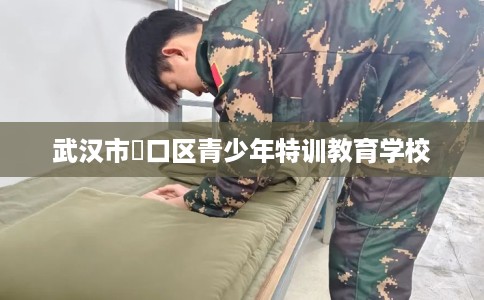 武汉市硚口区青少年特训教育学校 武汉市硚口区青少年特训教育学校