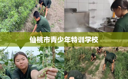 仙桃市青少年特训学校